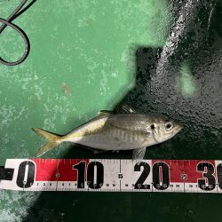 大在でアジング