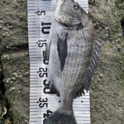 イチノ兄弟(兄)釣果!