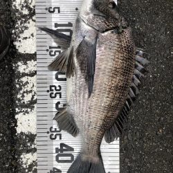 イチノ兄弟（兄）釣果！