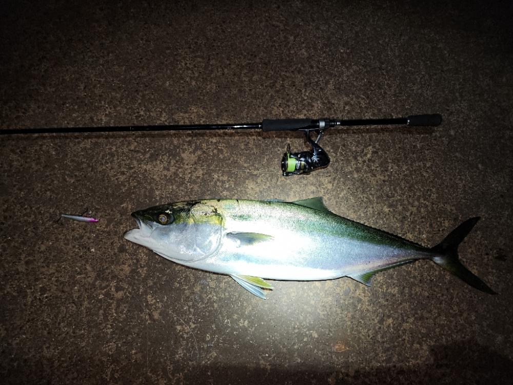 連日バチ抜け🎣