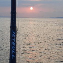 春政求めるも…