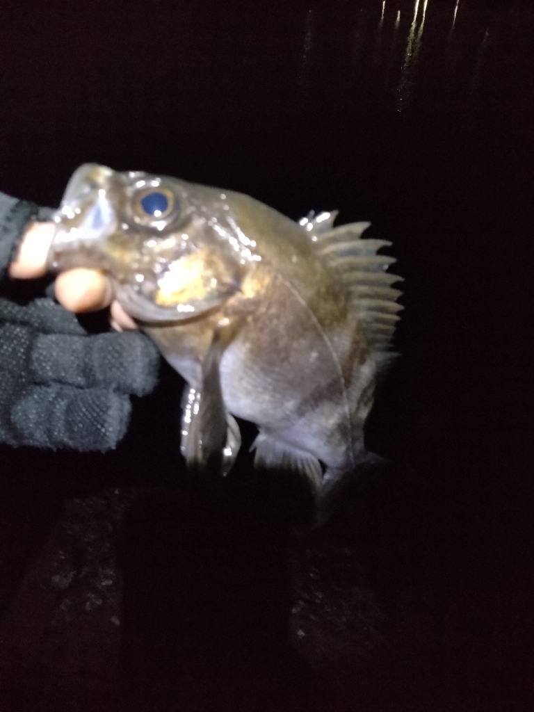 こうも違うかな