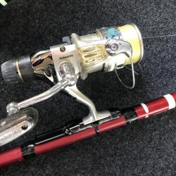 投げサビキでアジとサバ大漁