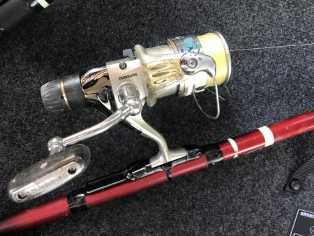 投げサビキでアジとサバ大漁