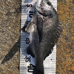 イチノ兄弟(兄)釣果!