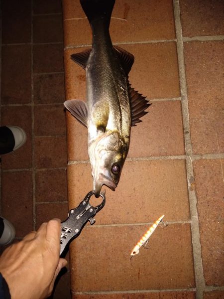 細身のシルエット