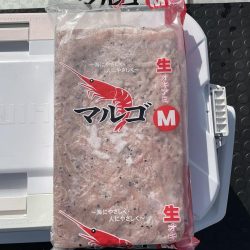 完全フカセでイサキ釣り