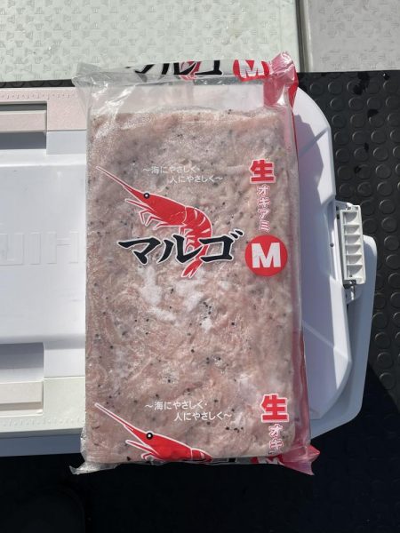 完全フカセでイサキ釣り