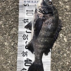 今年初爆釣❗️(イチノ兄弟兄)