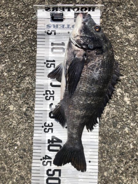 今年初爆釣❗️(イチノ兄弟兄)