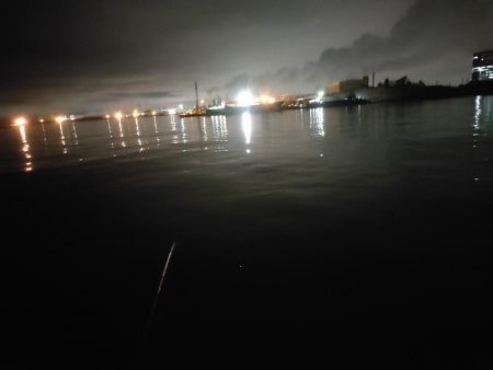 今年初バチパターンで