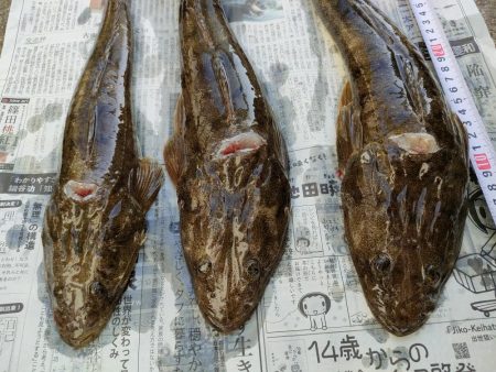 マゴチ釣り『だてまき丸』にて