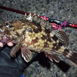 2023/04/05 南港ヘチ釣り釣行