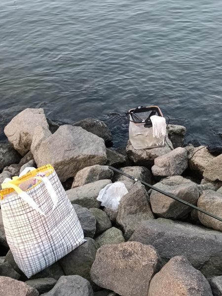 2023/04/13 大阪市内河川 稚鮎釣り