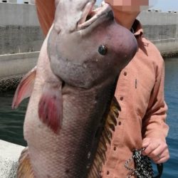 到着後１投目でドカーン