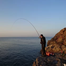 ノッコミ祭開催中？