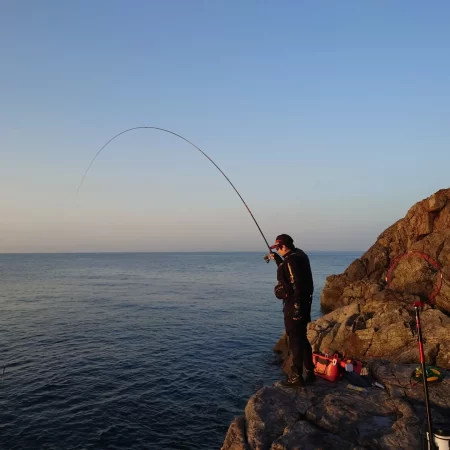 ノッコミ祭開催中？