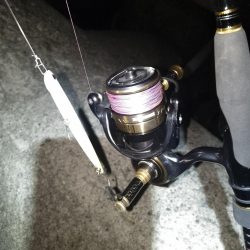 日によってサイズはバラバラ…