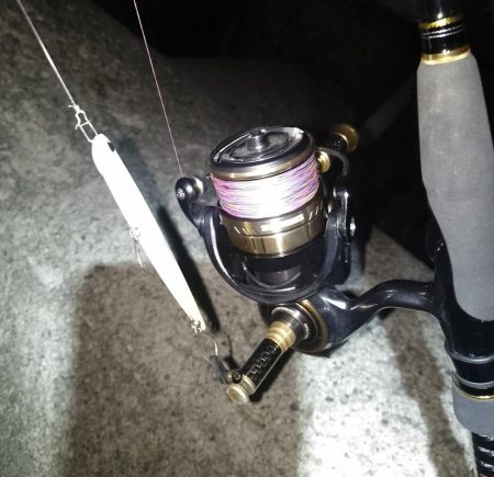 日によってサイズはバラバラ…