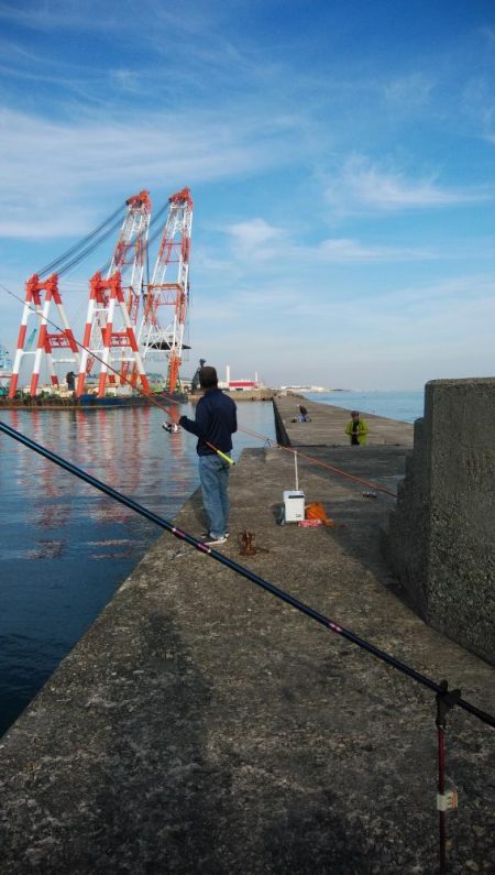 播磨新島のキス釣査