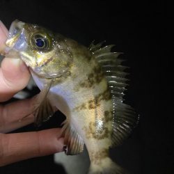 あの手この手で