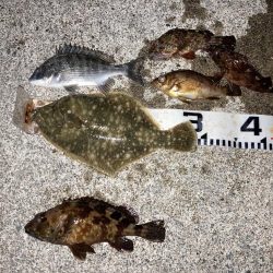 小春日和で紀州釣り