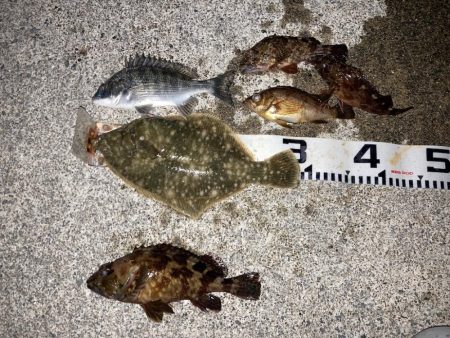 小春日和で紀州釣り