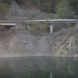 桜散る春のバス