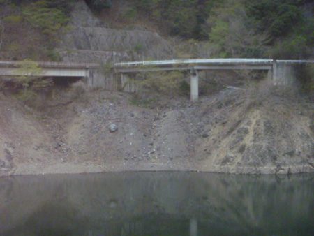 桜散る春のバス