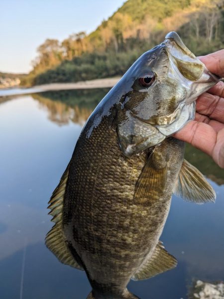 花見とバス釣り
