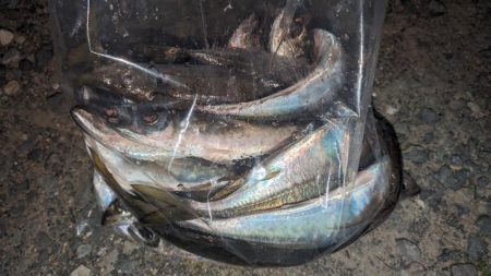 フロートアジング