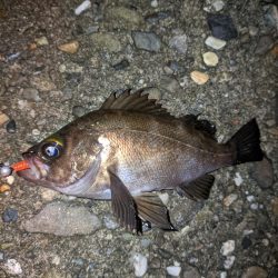 雨上がりの特攻