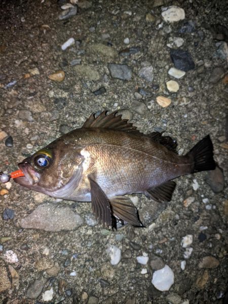 雨上がりの特攻