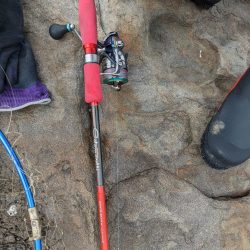 エギング&アジング