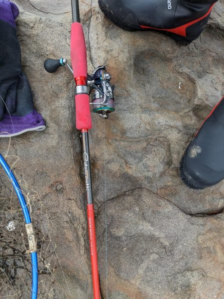 エギング&アジング