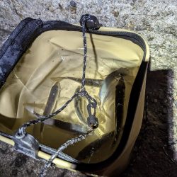 試行錯誤の爆釣アジング🐟