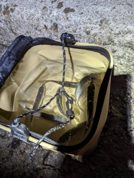 試行錯誤の爆釣アジング🐟