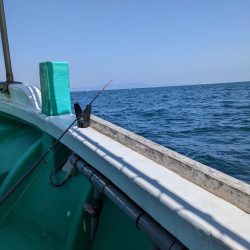 クログチ釣り（泉州丸）