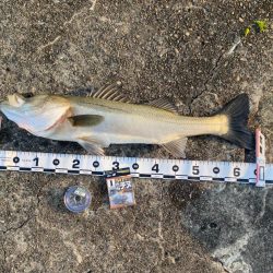 DAY1 南港のつり