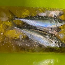 バチコンでギガアジ