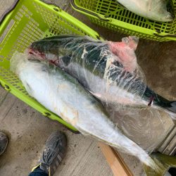 苦節4年 人生初のブリ！