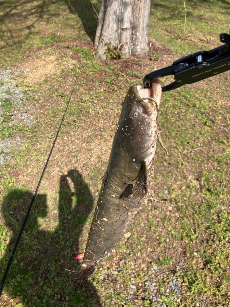 デイナマズゲーム 水面爆発