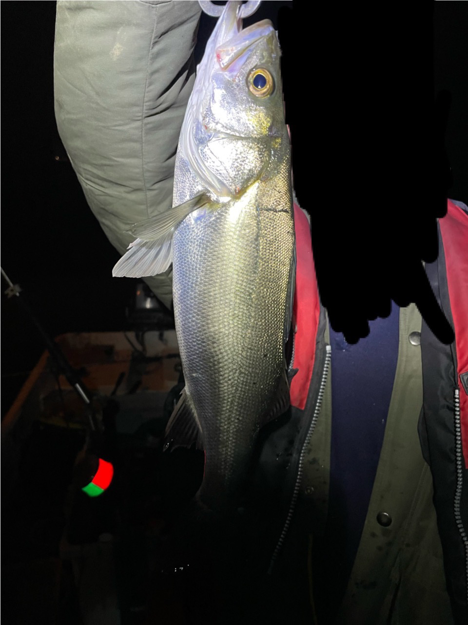 春ボートシーバス