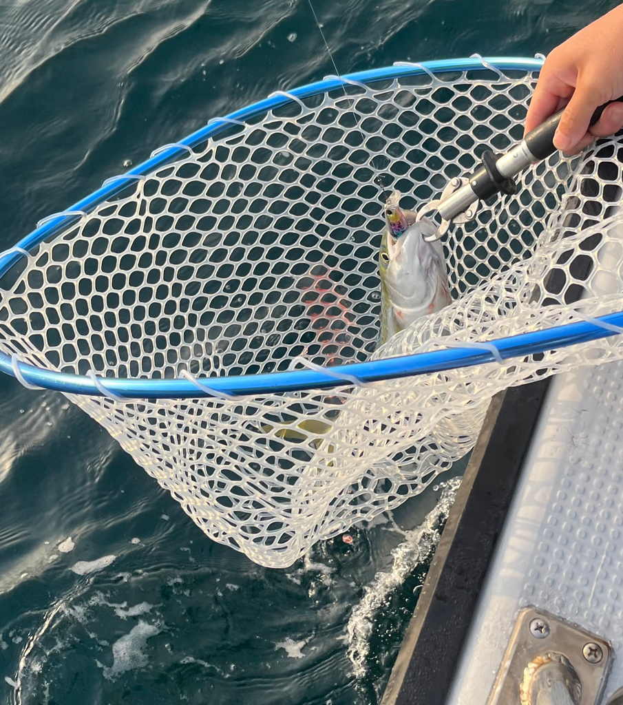 ボートキャスティング