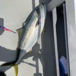 丹後沖のジギング