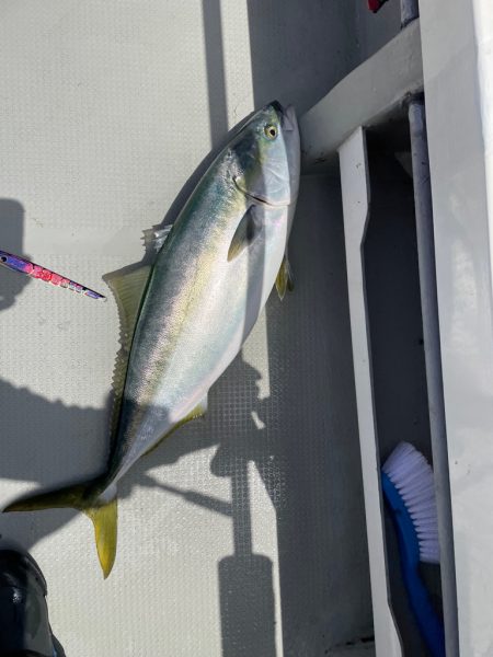 丹後沖のジギング