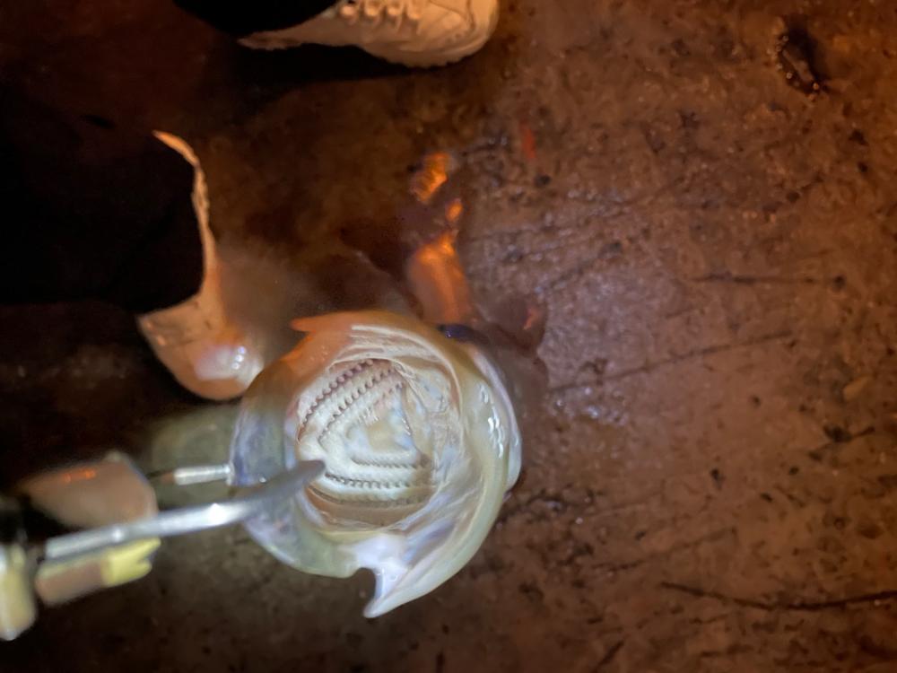 雨後の増水パターン