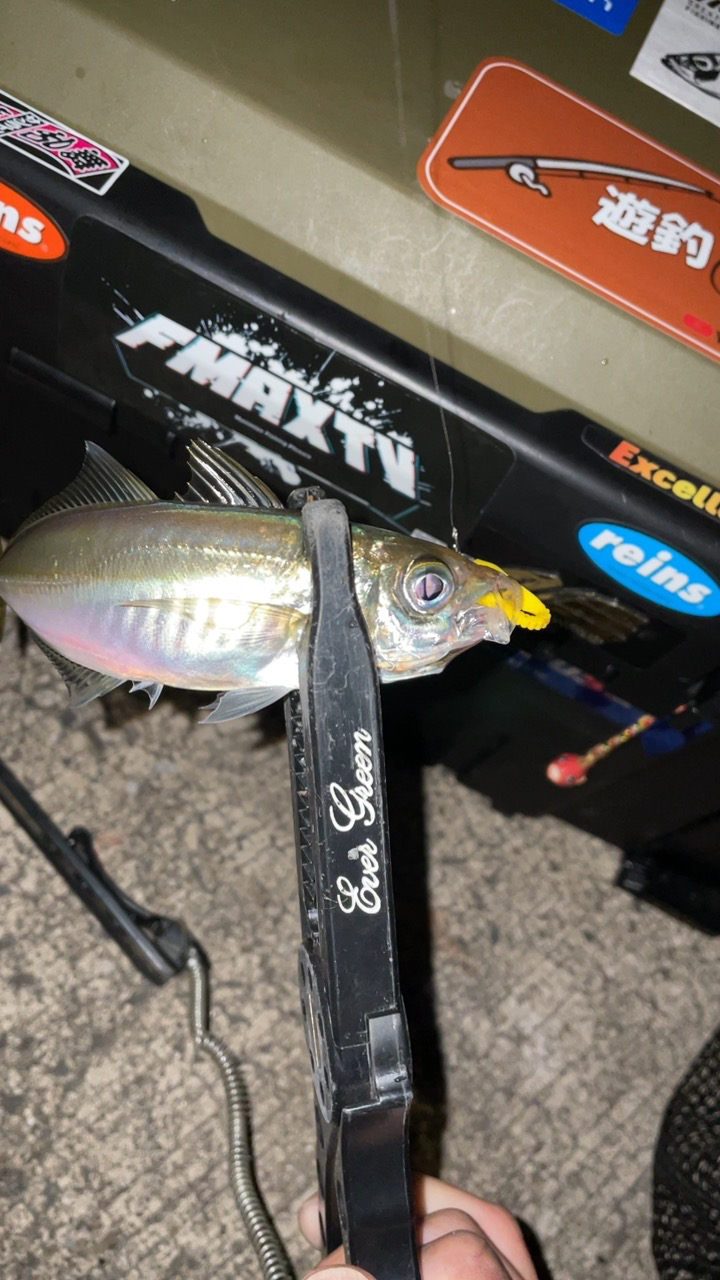 爆風メバリング