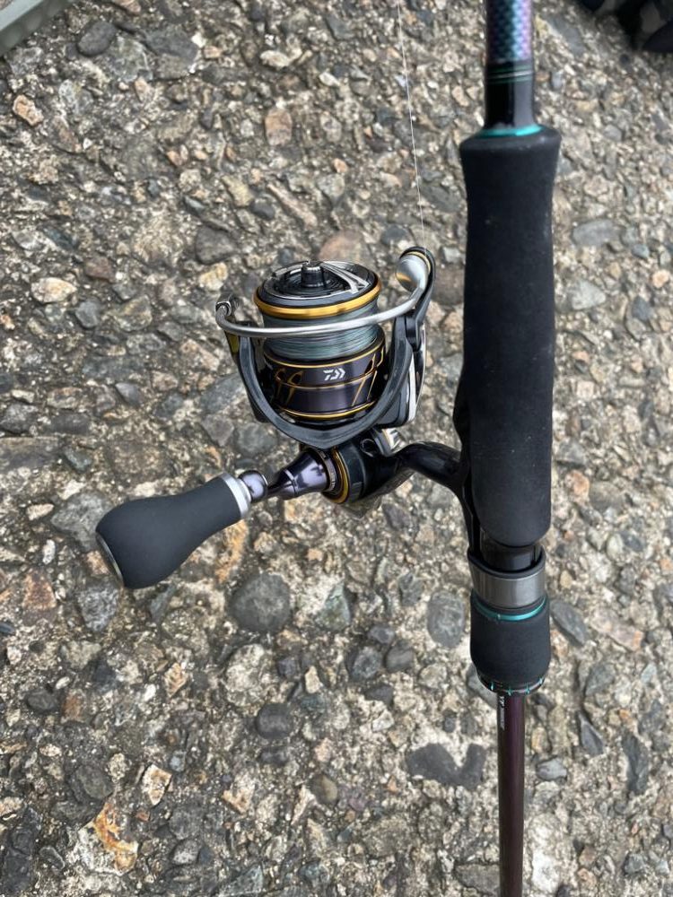 春のキス釣り好調なスタート