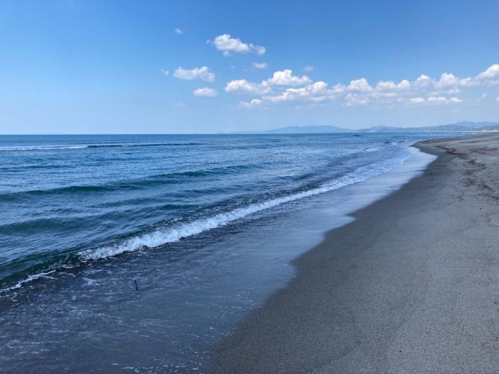 春のマゴチング